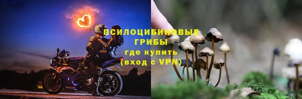 дурь Абинск
