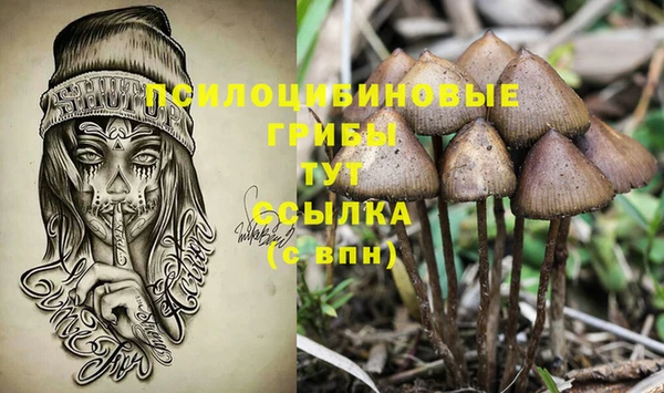 дурь Абинск