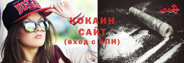 тгк Абаза