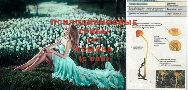 тгк Абаза
