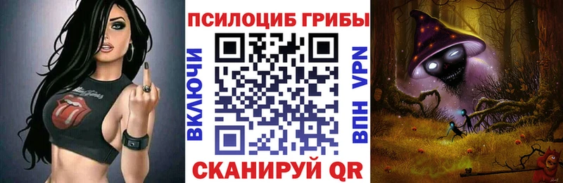 Псилоцибиновые грибы Psilocybe Жердевка